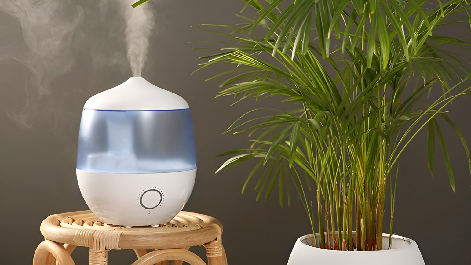 Comfort Through Balanced Humidity